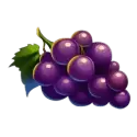 icon 6