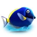 icon 2