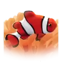 icon 1