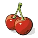 icon 9