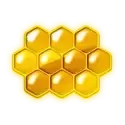 icon 10
