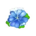 icon 6