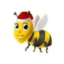 icon 1