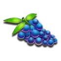 icon 11