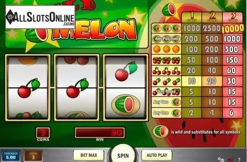 Screen4. Wild Melon from Play'n Go