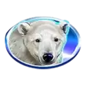 icon 2