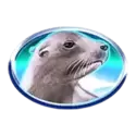 icon 4