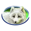 icon 1