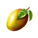 icon 9