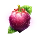 icon 6
