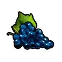 icon 5