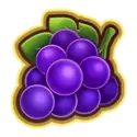 icon 4