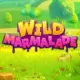 Wild Marmalade