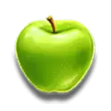icon 5