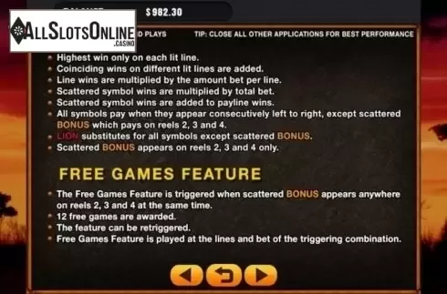 Game Rules. 101 Lions from GMW