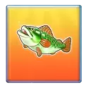 symbol 6