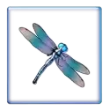 symbol 3