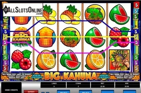Screen5. Big Kahuna from Microgaming
