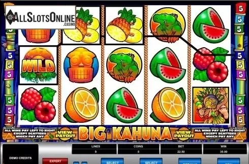 Screen6. Big Kahuna from Microgaming