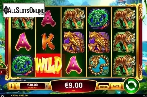 Reel Screen. Blazing Tiger from Ruby Play