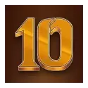 icon 10