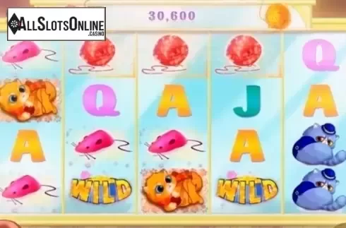 Win. Fluffy Fortune from High 5 Games