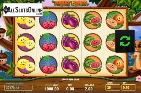 Reel Screen. Forest Fruits from Fazi