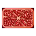 icon 4