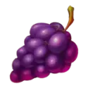 icon 4