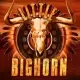 Little Bighorn
