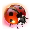 icon 3