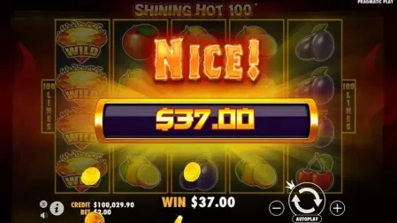 Shining Hot 100 slot screenshot 5
