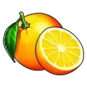 icon 4