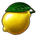 icon 7
