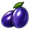 icon 5
