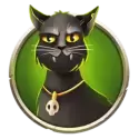 icon 6