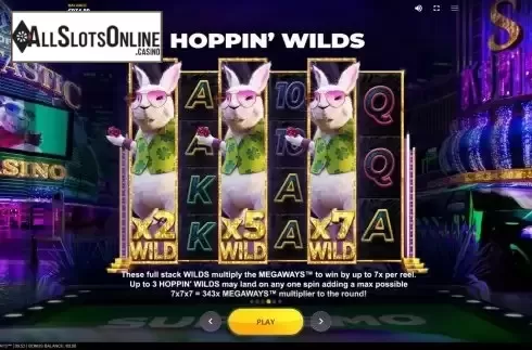 Wild feature screen