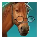 icon 3