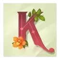 icon 6