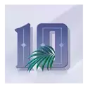 icon 9