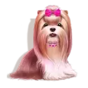 icon 2