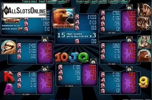 Paytable 1. Wild Hills from Casino Technology