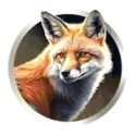 icon 5