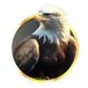 icon 2