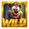 icon 9
