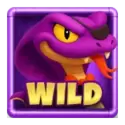 icon 9