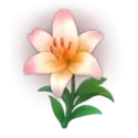 icon 5