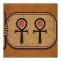 icon 5