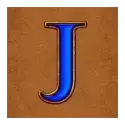 icon 9