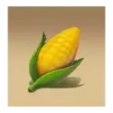 icon 5